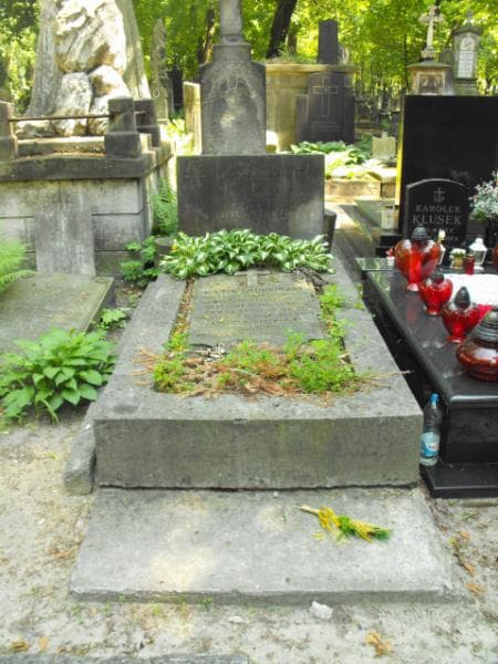 Zdjęcie grobu Karol Studziński (2)