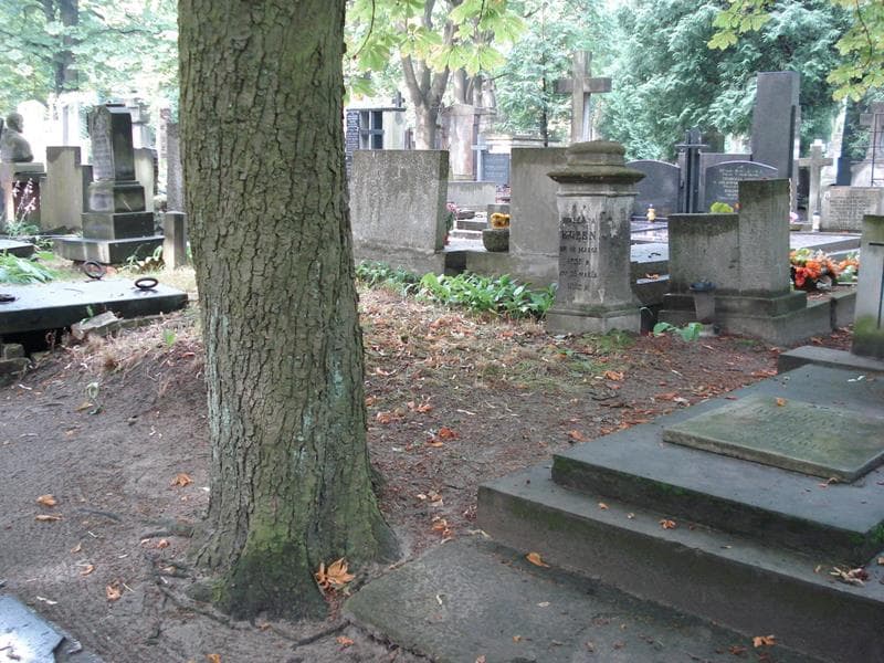 Zdjęcie grobu: Walerja Kuzen
