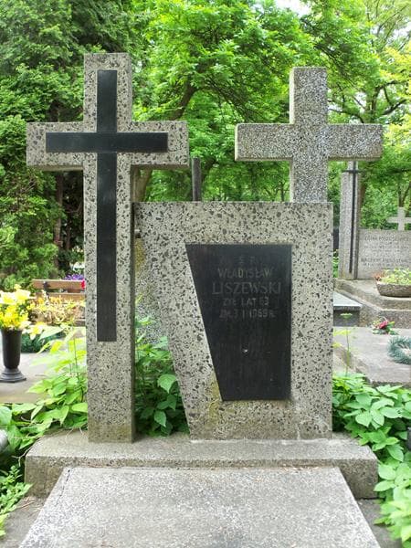 Zdjęcie grobu Władysław Liszewski (2)