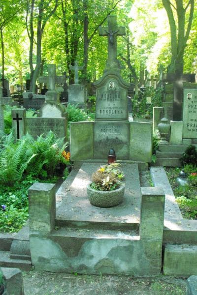 Zdjęcie grobu Wanda Terpińska (1)