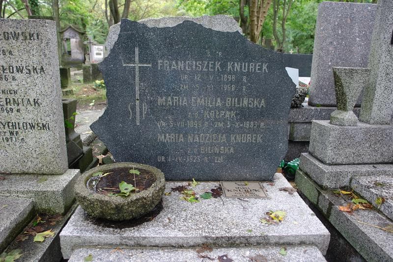 Zdjęcie grobu Franciszek Knurek (2)