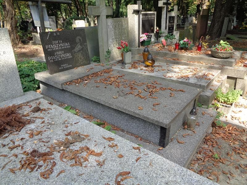 Zdjęcie grobu: Józef Ptaszyński