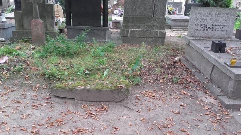 Zdjęcie grobu: Pole Grobowe