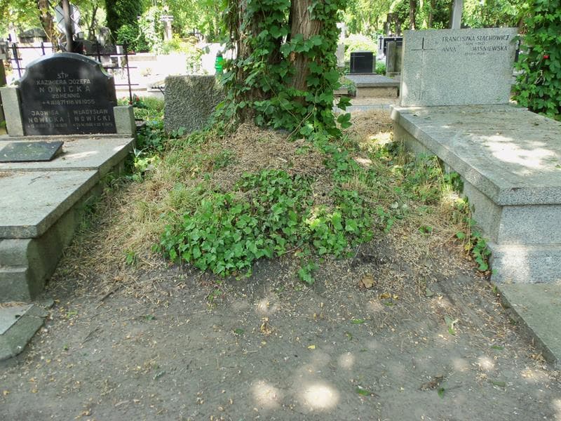 Zdjęcie grobu: Pole Grobowe