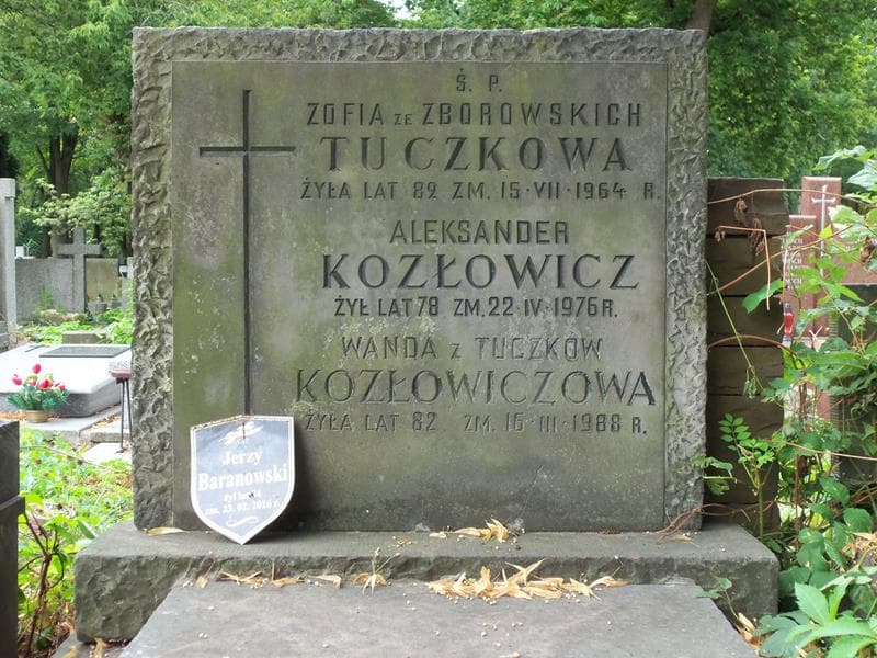 Zdjęcie grobu Aleksander Kozłowicz (2)
