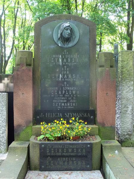 Zdjęcie grobu Maria Czaplowa (2)