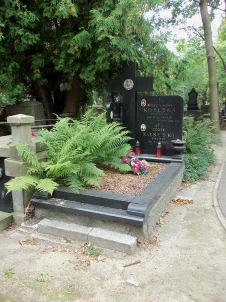 Zdjęcie grobu: Jerzy Guzowski