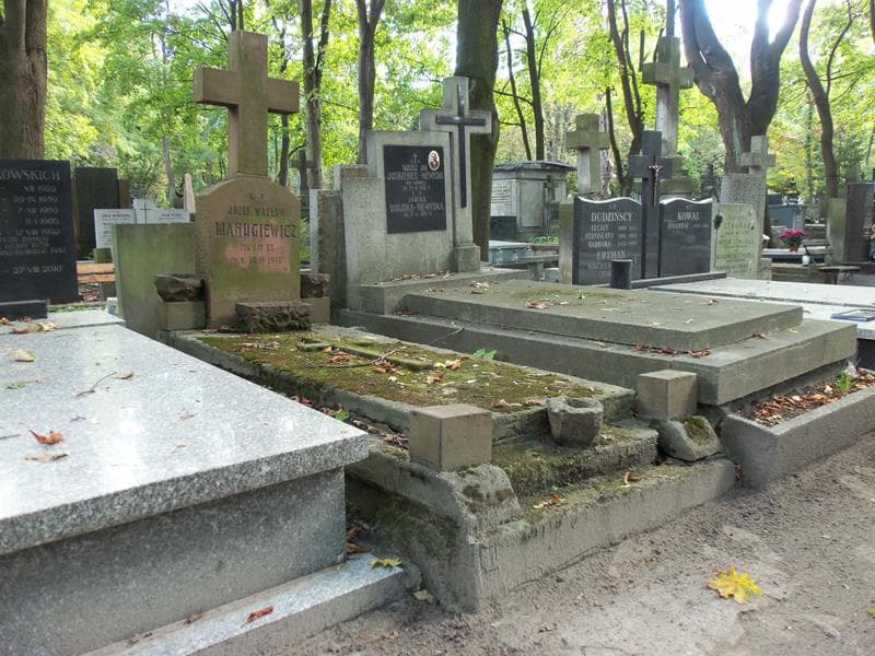 Zdjęcie grobu Józef Wacław Manugiewicz (1)