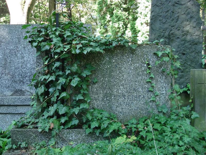 Zdjęcie grobu Maria Ilnicka (2)