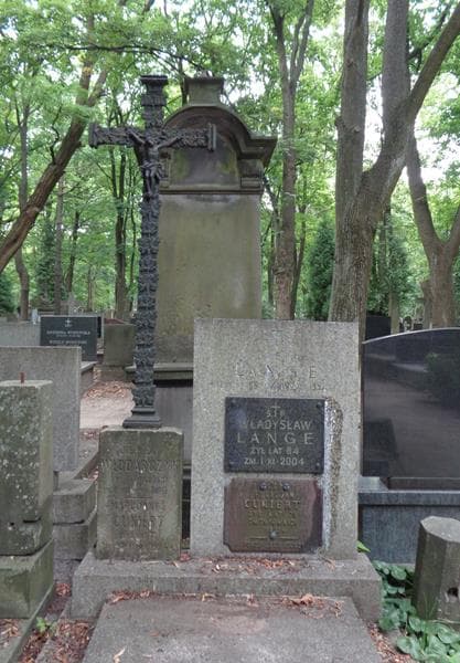 Zdjęcie grobu Zofia Lange (2)