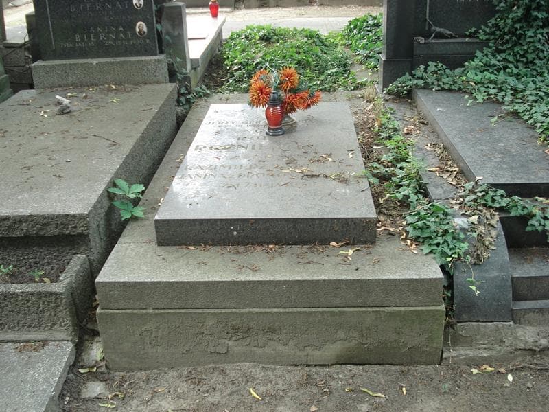 Zdjęcie grobu: Janina Roźniewicz