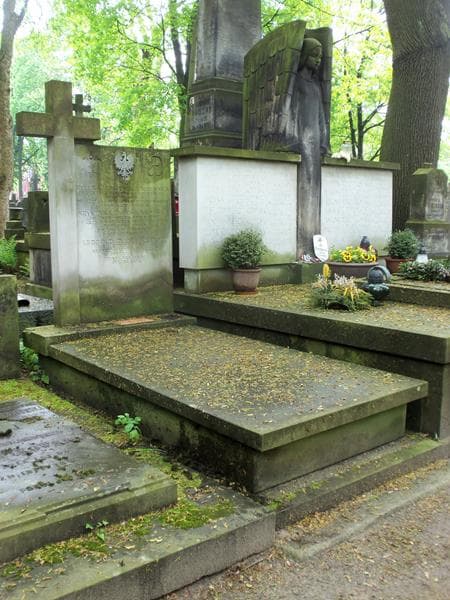 Zdjęcie grobu Helena Agnieszka Niżyńska (1)