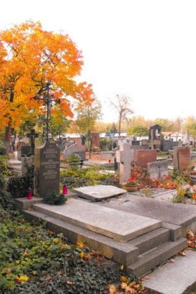 Zdjęcie grobu Danuta Jędrzejczak (1)