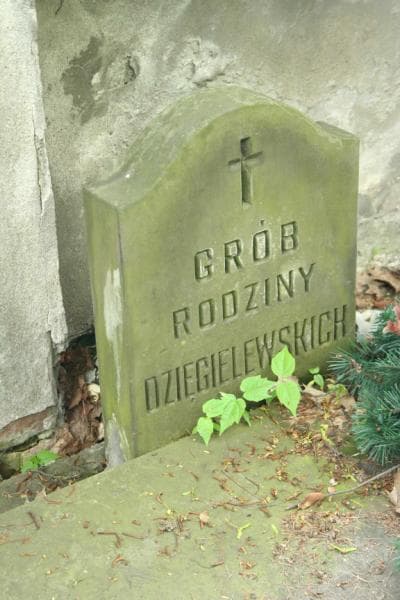 Zdjęcie grobu Dzięgielewscy (1)
