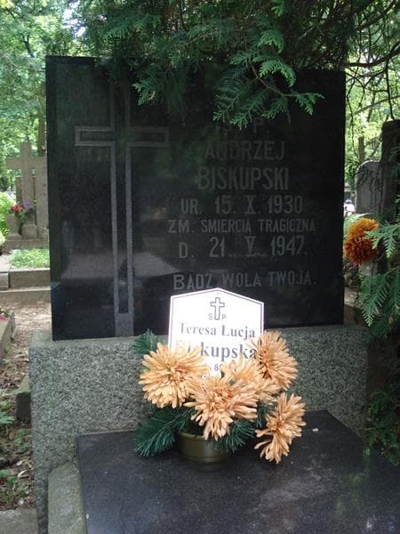Zdjęcie grobu Andrzej Biskupski (1)