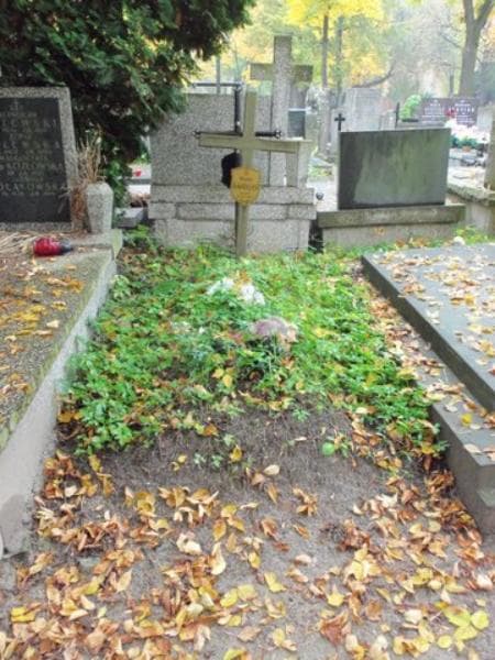 Zdjęcie grobu: Wiesław Kołodziejczyk