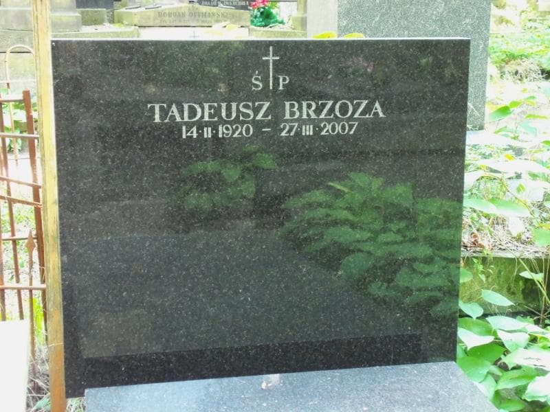 Zdjęcie grobu Tadeusz Brzoza (2)