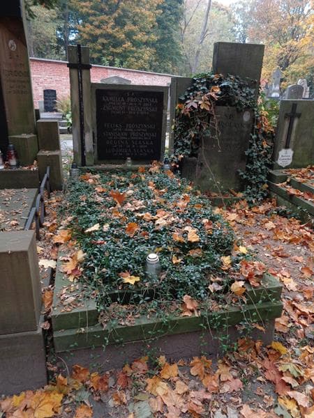 Zdjęcie grobu Zygmunt Prószyński (1)