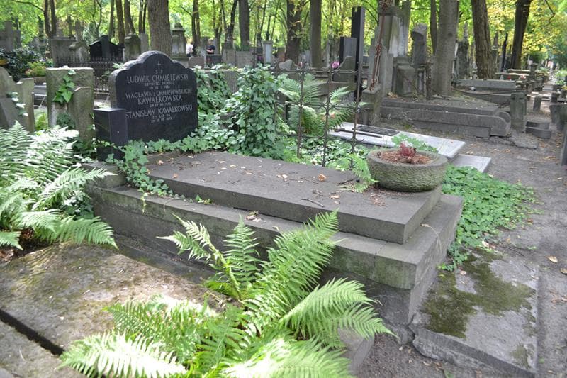 Zdjęcie grobu: Ludwik Chmielewski