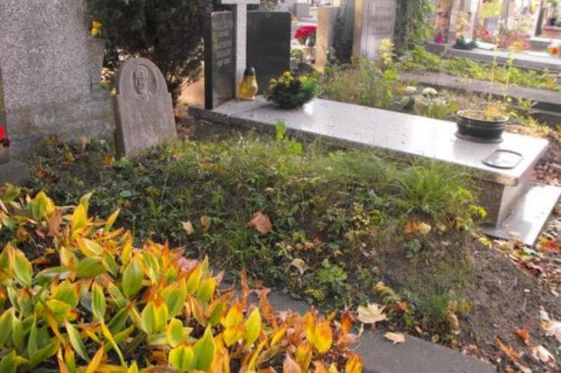 Zdjęcie grobu Feliks Dębski (1)