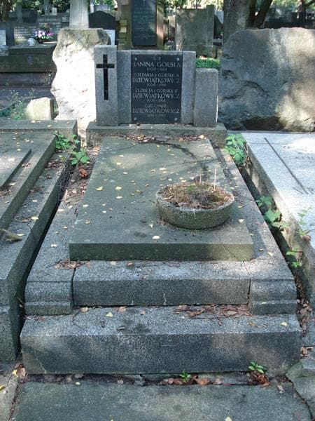 Zdjęcie grobu Janina Górska (1)