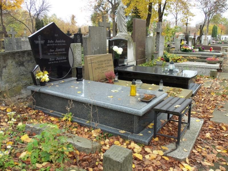 Zdjęcie grobu Jan Janicki (1)
