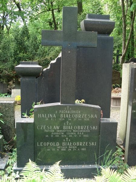 Zdjęcie grobu Czesław Białobrzeski (2)