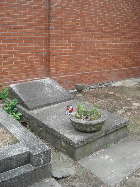 Zdjęcie grobu Zofia Wołowska (2)