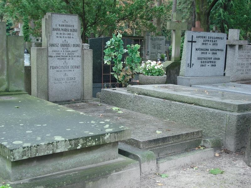 Zdjęcie grobu Franciszek Derko (1)