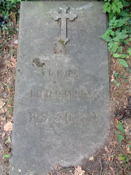 Zdjęcie grobu Lubomira Pszorn (2)