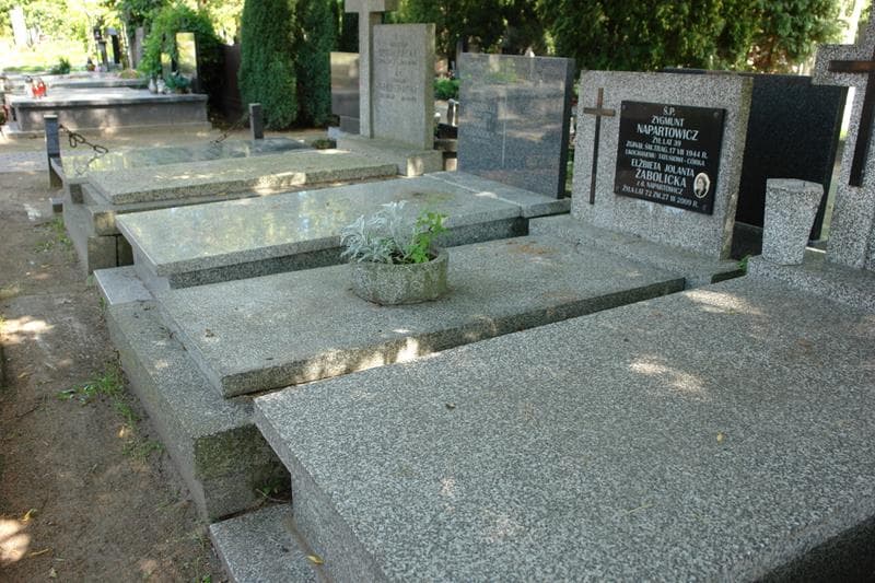 Zdjęcie grobu: Zygmunt Napartowicz