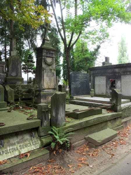 Zdjęcie grobu Julja Laskowska (1)
