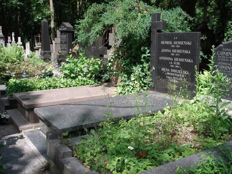 Zdjęcie grobu: Janina Siemieńska
