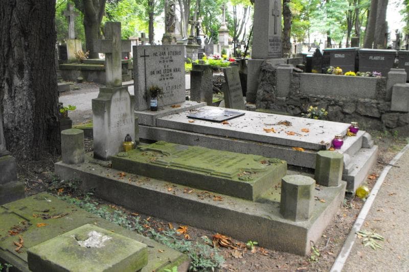 Zdjęcie grobu Helena Hłuszanin (1)