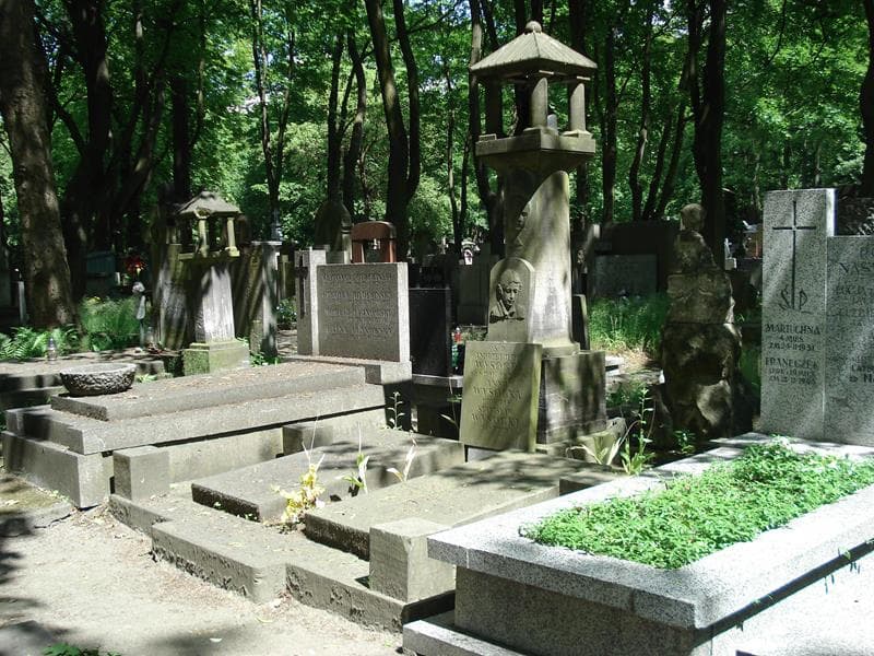 Zdjęcie grobu Anna Wysocka (1)