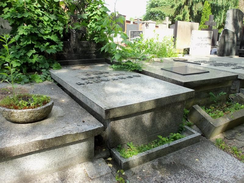 Zdjęcie grobu Maria Petz-Radwan (1)