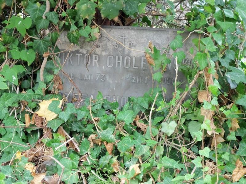 Zdjęcie grobu Wiktor Cholewiński (2)