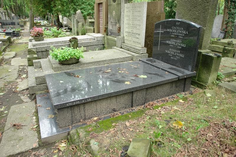 Zdjęcie grobu: Edward Wróblewski
