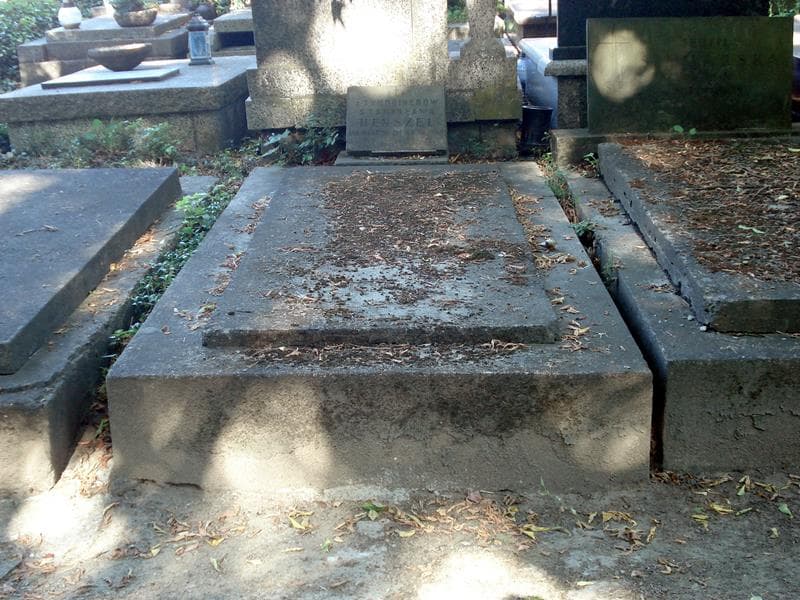 Zdjęcie grobu: Stanisława Henszel