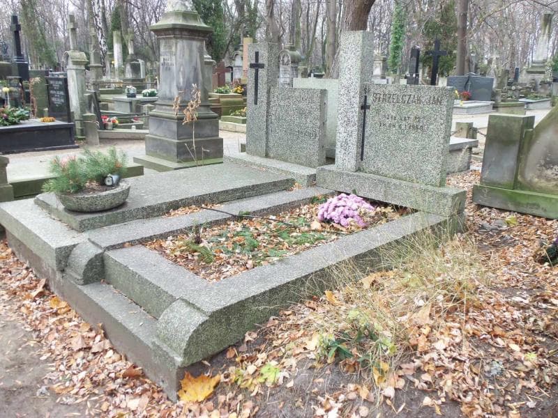 Zdjęcie grobu Jan Strzelczak (1)