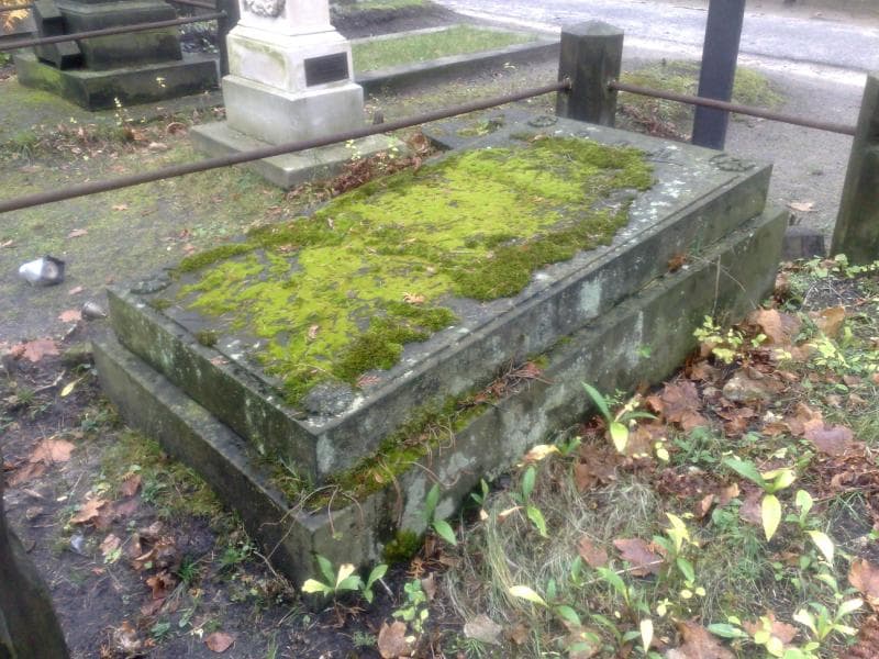 Zdjęcie grobu Walerja Miklaszewska (1)