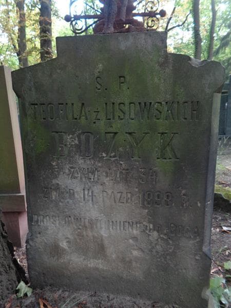 Zdjęcie grobu Teofila Bożyk (2)