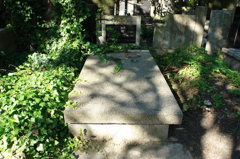 Zdjęcie grobu: Stanisława Borkowska