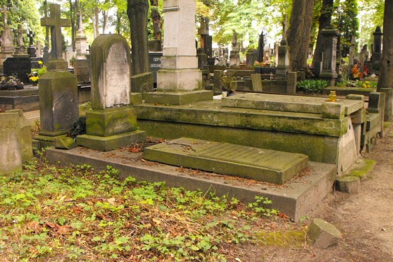 Zdjęcie grobu Alexander Rudziec - Rudnicki (1)