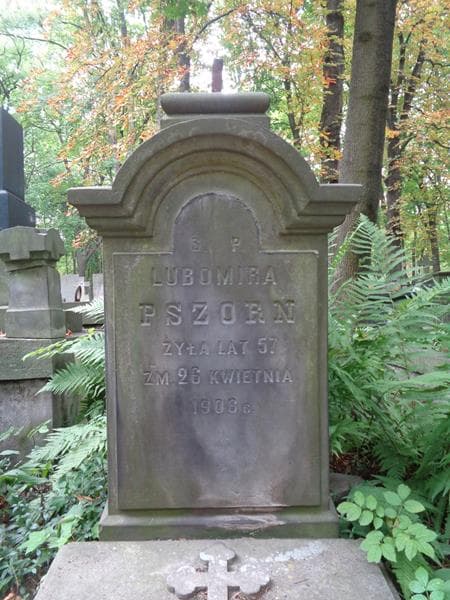Zdjęcie grobu Lubomira Pszorn (1)