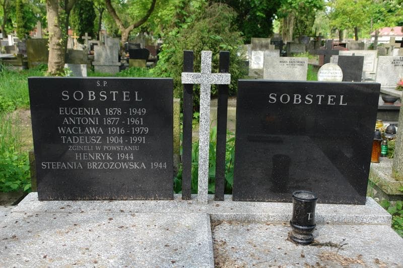 Zdjęcie grobu Stefania Brzozowska (2)