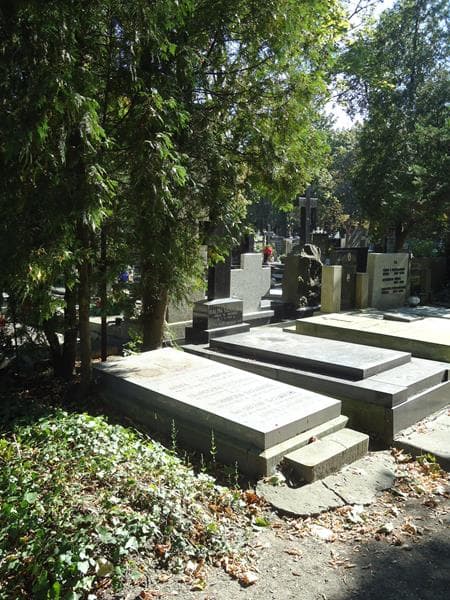 Zdjęcie grobu Stefan Szemiński (2)