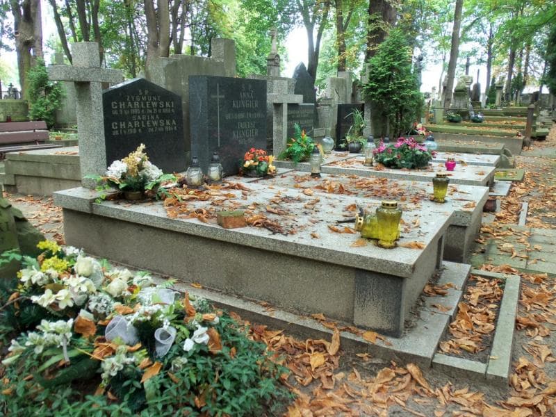 Zdjęcie grobu Zygmunt Charlewski (1)