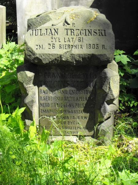 Zdjęcie grobu Franciszek Trzciński (1)