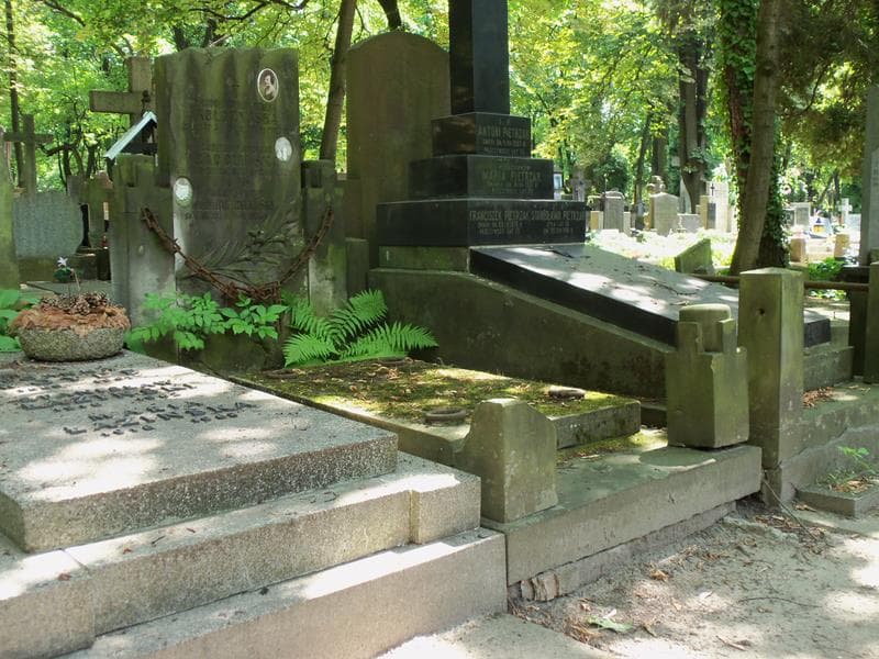Zdjęcie grobu Wojciech Witold Leszczyc Radoliński (1)